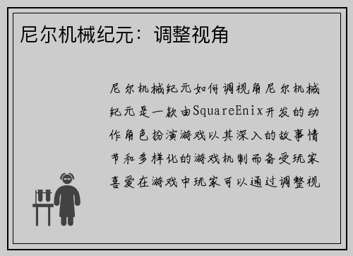尼尔机械纪元：调整视角